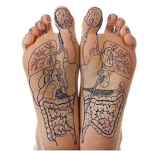 A qui s'adresse la réflexologie plantaire proche de l'Hérault ?