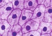 Nos prestations sur le secteur de Nîmes proche de Calvisson