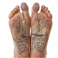 Nos prestations sur le secteur de Montpellier à coté de La Grande-Motte